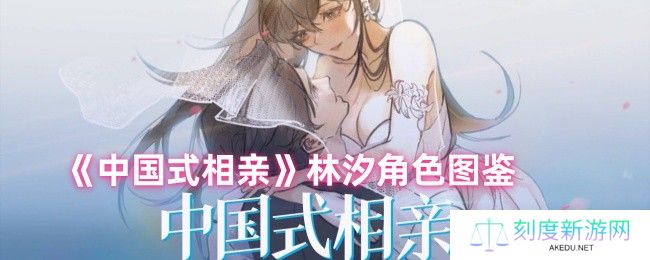 中国式相亲林汐全解析：恐婚医生攻略指南