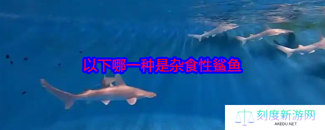 海洋吃货新发现！唯一会吃素的鲨鱼竟是它？