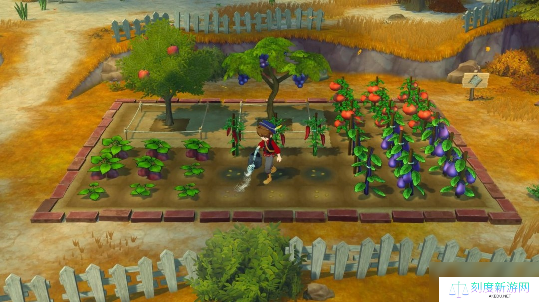 《牧场物语 来吧！风之繁华集市》上架Steam 首批截图