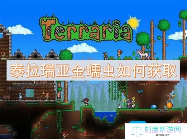 泰拉瑞亚金蠕虫如何获取-金蠕虫获取方法