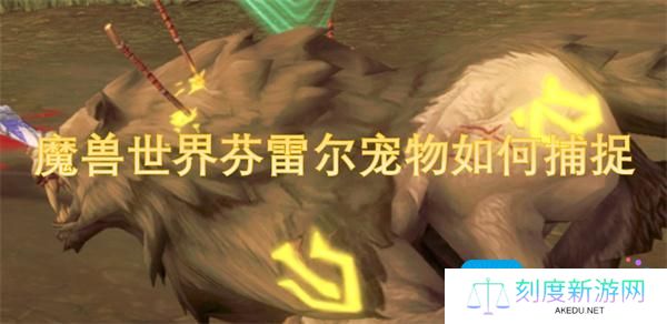 魔兽世界芬雷尔宠物如何捕捉-芬雷尔宠物捕捉方法