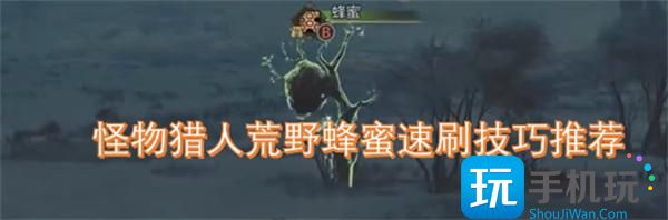 怪物猎人荒野大量蜂蜜怎么获取-蜂蜜速刷技巧推荐