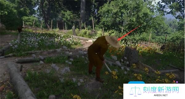 天国拯救2毒药购买地点一览 天国拯救2毒药购买地点一览