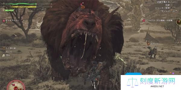 怪物猎人荒野收集金冠怪物方法