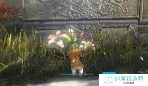 逆水寒手游酩酊梦狸奇遇如何完成 逆水寒手游酩酊梦狸奇遇如何完成