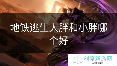 地铁逃生大胖和小胖哪个好