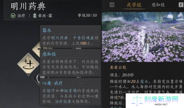 燕云十六声奶妈套装搭配攻略