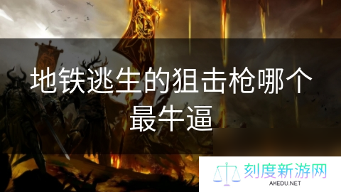 地铁逃生的狙击枪哪个最牛逼