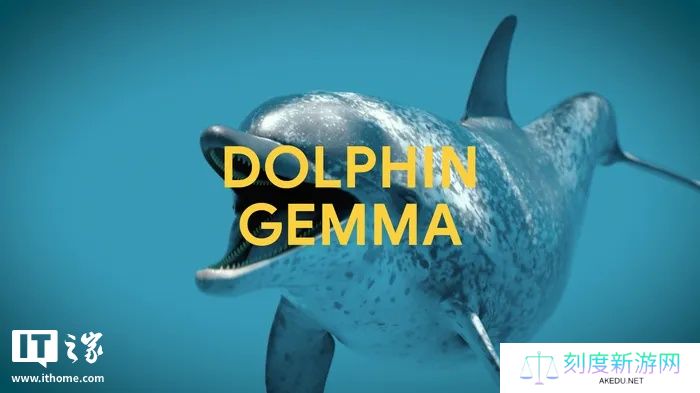 谷歌 DeepMind 开发 DolphinGemma AI 模型，助力海豚“语言”研究