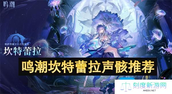 鸣潮坎特蕾拉声骸怎么选择-坎特蕾拉声骸推荐