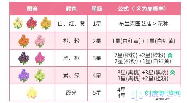 心动小镇迎春花杂交配方有哪些