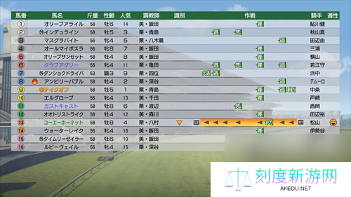 赛马模拟游戏赛马大亨9 2022今日正式发售