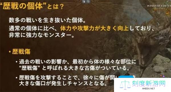 怪物猎人荒野终盘内容有什么