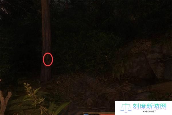 天国拯救2爱自由与荣耀任务攻略