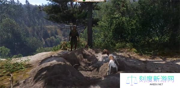 天国拯救2爱自由与荣耀任务攻略